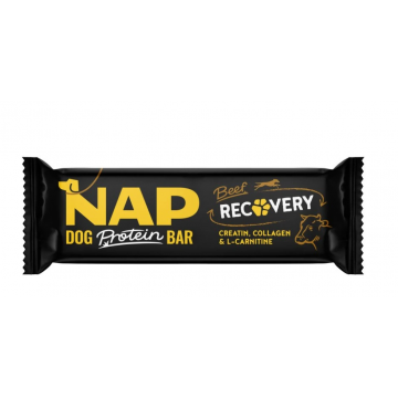 RECOVERY psí proteinová...