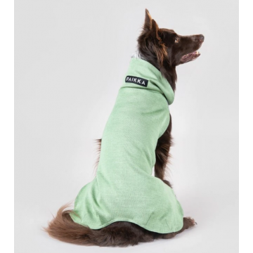 Paikka recovery winter...