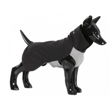 Paikka recovery winter...