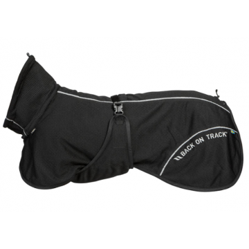 Back on Track Bay mesh high...