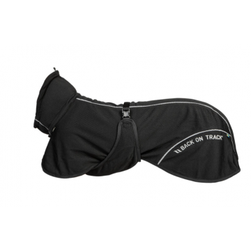 Back on Track Bay mesh low...