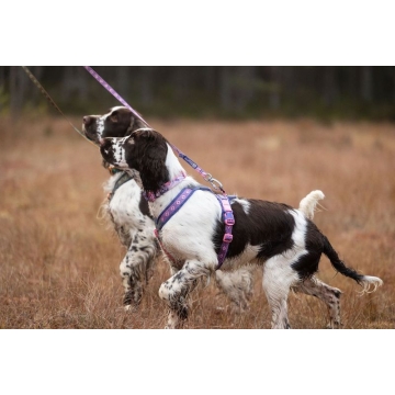Vodítko Trail quest leash...